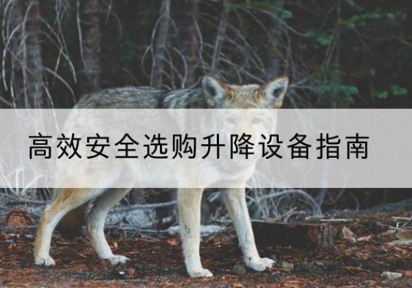 伊宁升降货梯厂家推荐-*安全选购升降设备指南