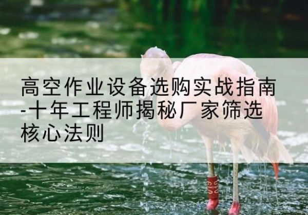 伊宁剪叉式升降机厂家-高空作业设备选购实战指南-十年工程师揭秘厂家筛选核心法则
